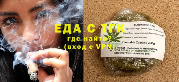 шишки Ельня
