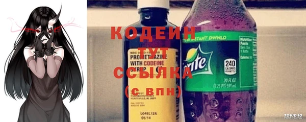 шишки Ельня