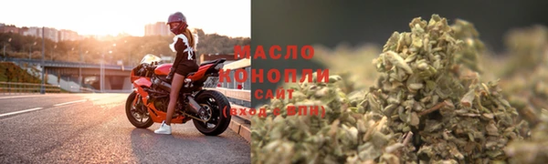 шишки Ельня