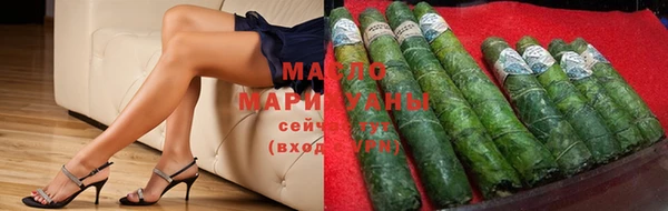 шишки Ельня
