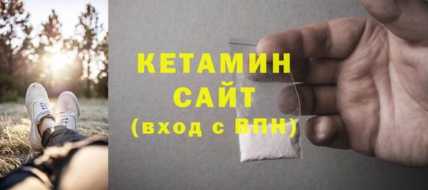 шишки Ельня