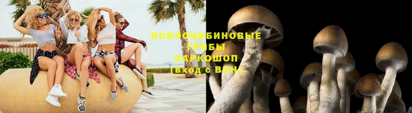шишки Ельня
