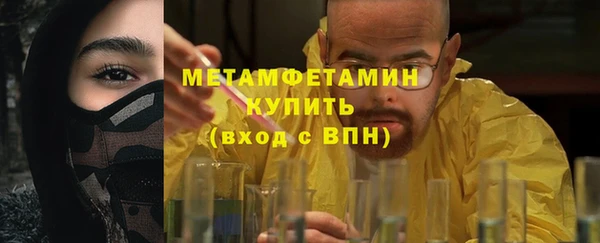шишки Ельня