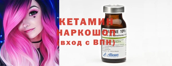 шишки Ельня