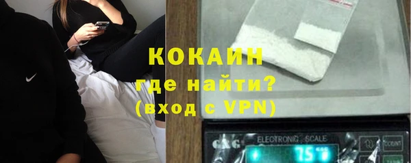 шишки Ельня