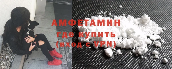 шишки Ельня