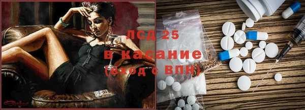 шишки Ельня