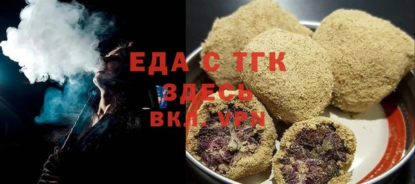 шишки Ельня