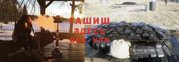 шишки Ельня