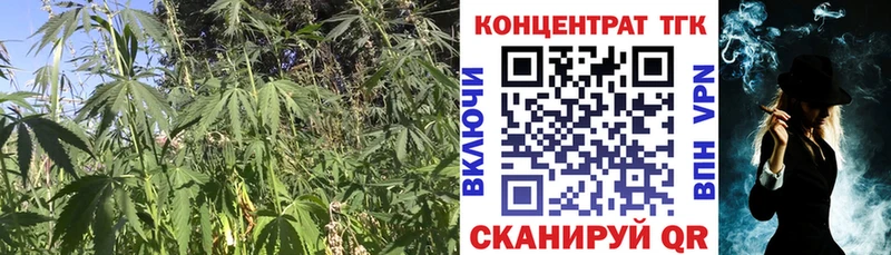 Дистиллят ТГК Wax  Купить закладки  Певек 