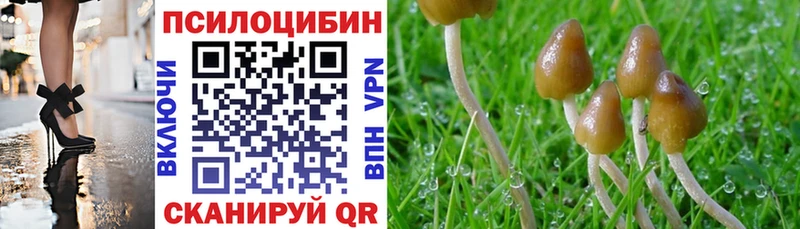 Купить где  Певек  Галлюциногенные грибы GOLDEN TEACHER 